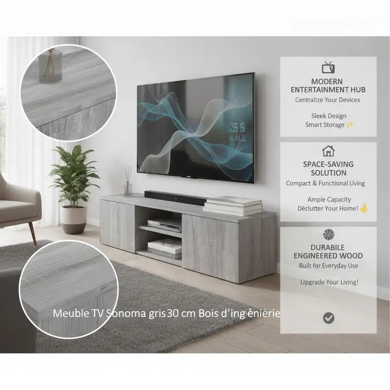 Meuble TV en Bois Gris